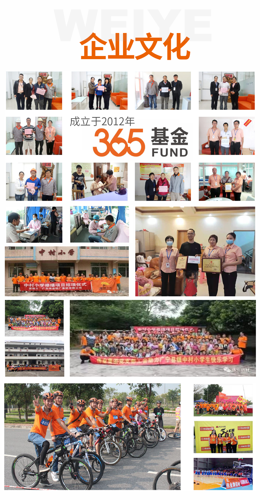 一定发简介3_04.jpg