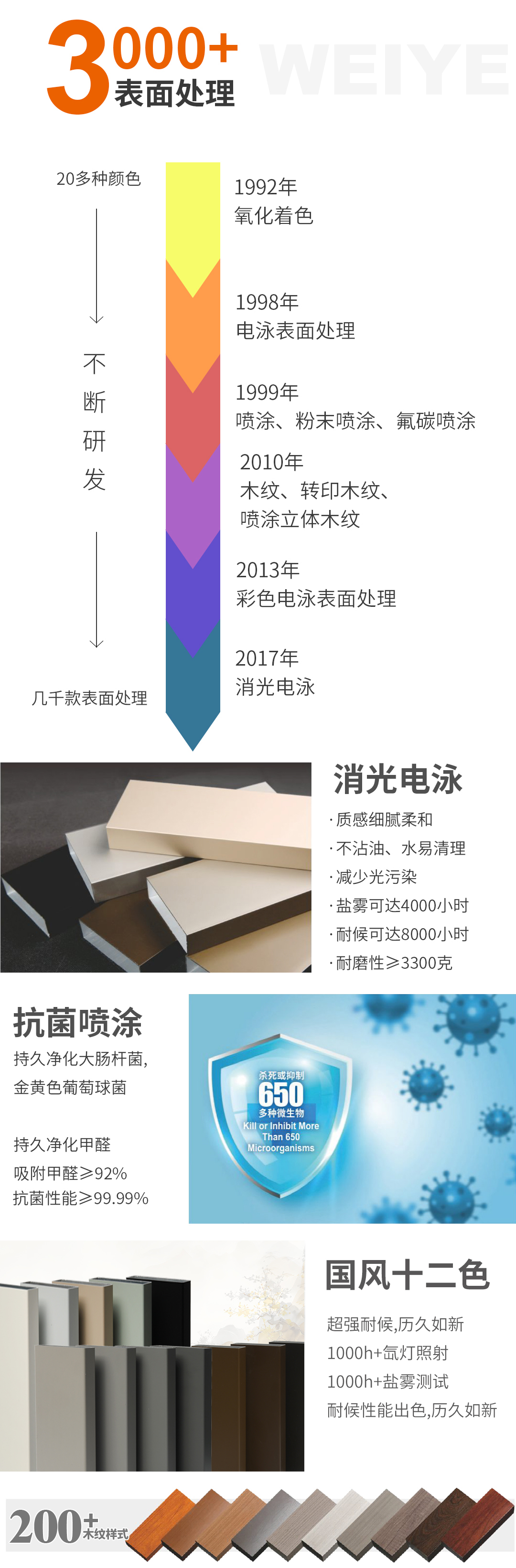 一定发简介2_05.jpg
