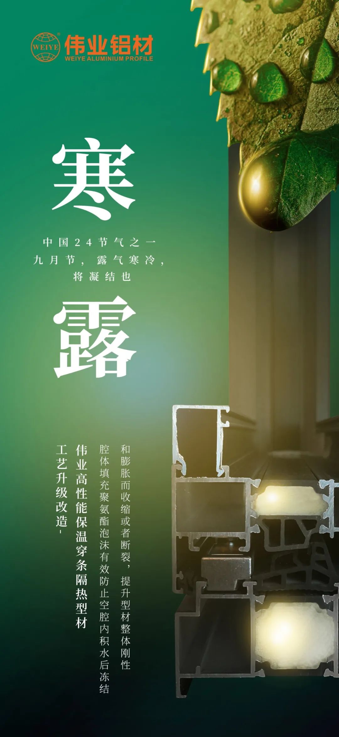 #寒露 九月节，，，露气严寒，，，将凝聚也 时光入深秋，，，岁月便深情
